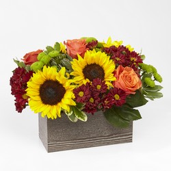 Happy Harvest Garden Thanksgiving Centerpiece 